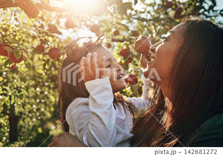Happy, mom and child with apple from tree on farm, orchard or relax in garden with nature on vacation. Growth, mother and daughter with fruit from sustainable agriculture, environment or healthy food Happy, mom and child with apple from tree on farm, orchard or relax in garden with nature on vacation. Growth, mother and daughter with fruit from sustainable agriculture, environment or healthy food 142681272
