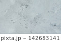 Light gray weathered concrete surface with peeling paint and stains for grunge background 142683141