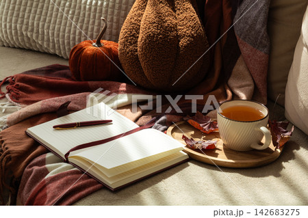 Cozy Autumn Scene With Pumpkins Tea And Notebook On Sofa Warm Autumnal Colors 142683275