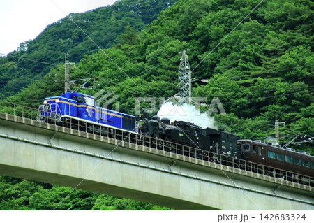 万緑の空を渡り汽車は征く…  川治温泉郷を駆ける【SL大樹土津】C11325＋DE101109 142683324