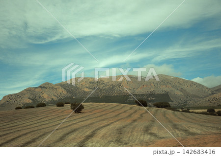 Ploughed field with distinct furrows and scattered trees, extending to rugged mountains under a wide, dramatic sky Ploughed field with distinct furrows and scattered trees, extending to rugged mountains under a wide, dramatic sky 142683416