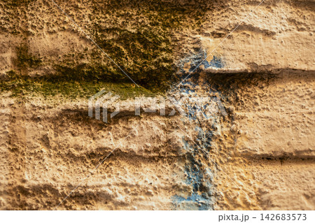 Rough, weathered wall surface showing peeling paint and organic growth, creating an abstract, grunge background texture Rough, weathered wall surface showing peeling paint and organic growth, creating an abstract, grunge background texture 142683573