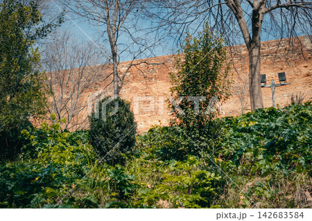 Historical brick fortification wall rising above dense green shrubbery and trees. Nature and ancient architecture combining 142683584