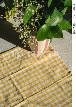 Sunlit plant with checkered tablecloth creating a cozy home atmosphere Sunlit plant with checkered tablecloth creating a cozy home atmosphere 142683881