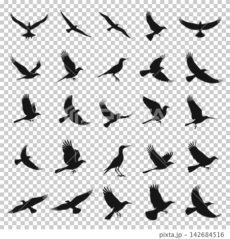 The image shows a black-and-white grid of twenty-five different bird silhouettes in various poses The image shows a black-and-white grid of twenty-five different bird silhouettes in various poses 142684516