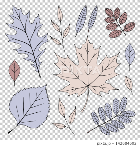 The image shows a digital illustration depicting a collection of hand-drawn autumn leaves in soft pastel shades The image shows a digital illustration depicting a collection of hand-drawn autumn leaves in soft pastel shades 142684602