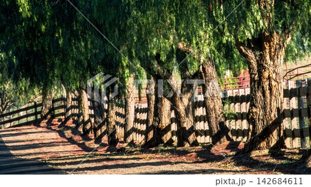 wooden fence in the park wooden fence in the park 142684611