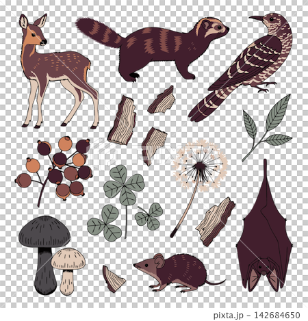 The image shows a set of hand-drawn illustrations of forest animals and plants 142684650