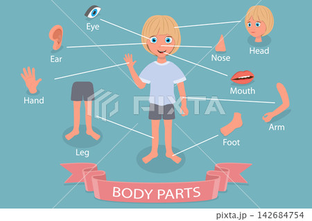 3D Isometric Flat Vector Illustration of Body Parts, Smiling, Adorable Child Boy Anatomy Features 142684754