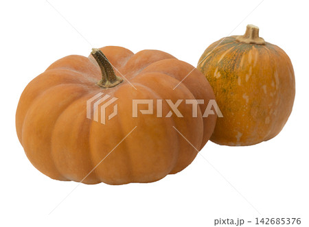 Pumpkin Season. Autumn pumpkin season. Modern design elements. Seasonal celebration. transparent,png Pumpkin Season. Autumn pumpkin season. Modern design elements. Seasonal celebration. transparent,png 142685376