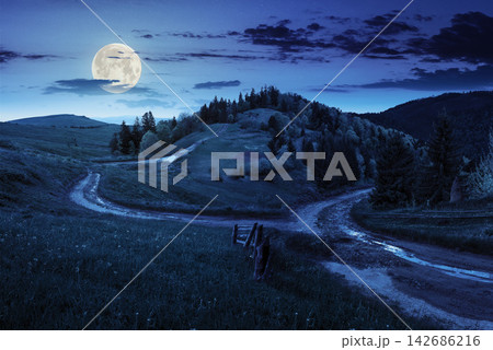 Full Moon Night Landscape with Forest Hills and Rural Road Full Moon Night Landscape with Forest Hills and Rural Road 142686216
