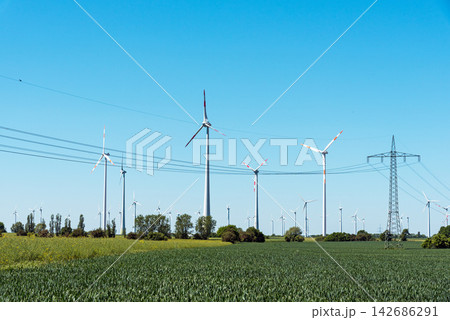 Wind Turbines and Power Lines in Green Energy Landscape 142686291