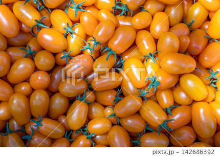 Orange Cherry Tomatoes Fresh Produce Background Orange Cherry Tomatoes Fresh Produce Background 142686392