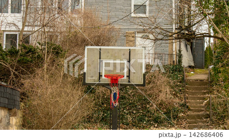 Outdoor Basketball Hoop in Overgrown Residential Backyard 142686406