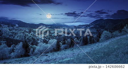 Moonlit Mountain Valley Panorama with Forest at Night 142686662