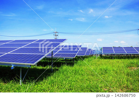 Solar Panels in Green Field Under Blue Sky Solar Panels in Green Field Under Blue Sky 142686750
