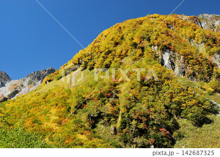 【山の風景】長野県・涸沢カールの紅葉（2012年） 142687325