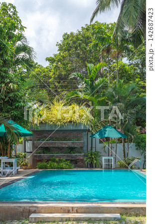 Tropical swimming pool with lush garden and resort umbrellas 142687423