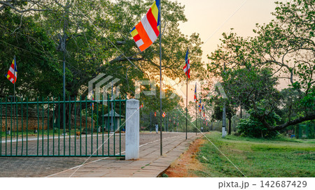 Entrance gateway of the sacred Jaya Sri Maha Bodhi temple in Anuradhapura, Sri Lanka Entrance gateway of the sacred Jaya Sri Maha Bodhi temple in Anuradhapura, Sri Lanka 142687429