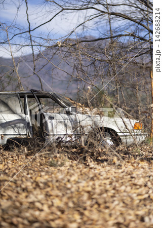 草むらに放置された車 142688214