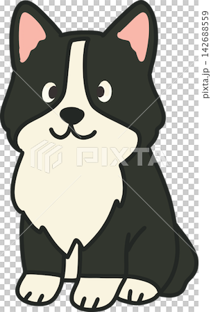 Black and White Dog Black and White Dog 142688559