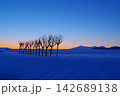 朝焼けの空と越後三山を背景に雪原に凛として立つはさ木の風景 Ver2 朝焼けの空と越後三山を背景に雪原に凛として立つはさ木の風景 Ver2 142689138