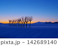朝焼けの空と越後三山を背景に雪原に凛として立つはさ木の風景 Ver3 朝焼けの空と越後三山を背景に雪原に凛として立つはさ木の風景 Ver3 142689140