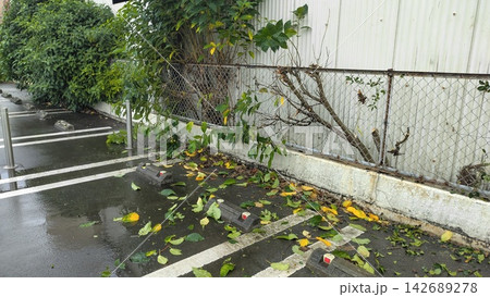 悪天候や強風で傷んだ植生と汚れた駐車場の風景 悪天候や強風で傷んだ植生と汚れた駐車場の風景 142689278