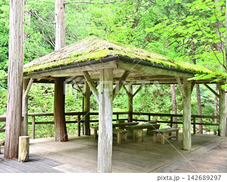赤沢自然休養林ふれあいの道の東屋 赤沢自然休養林ふれあいの道の東屋 142689297