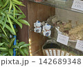 老舗飲食店のショーケースに飾られた招き猫と手書きメニュー 142689348
