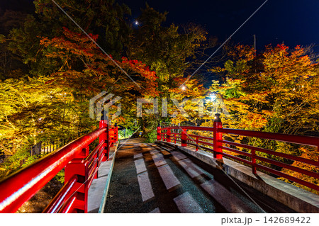 青森県 紅葉に彩られた中野もみじ山の秋景色 青森県 紅葉に彩られた中野もみじ山の秋景色 142689422