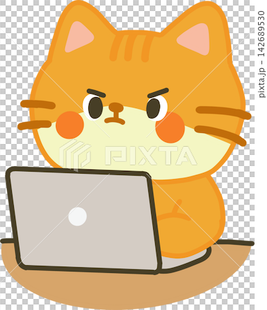 Orange Cat Working on Laptop Orange Cat Working on Laptop 142689530