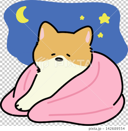 Cat Sleeping under Blanket Cat Sleeping under Blanket 142689554