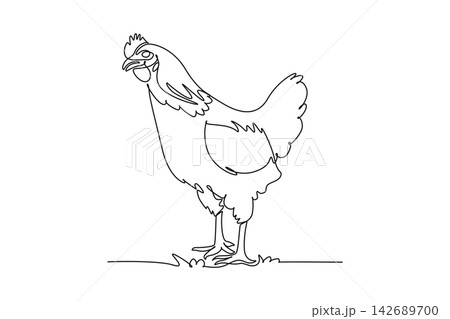 Single one line drawing domestic farm hen chicken standing upright alertly on the ground. Poultry livestock, rural agriculture, feathered charm. Continuous line draw design graphic vector illustration 142689700