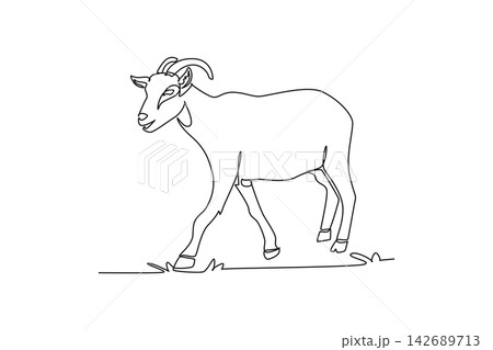Single continuous line drawing domestic farm goat walking calmly through a pasture. Curved horns, alert ears, sturdy hooves, and rural livestock grace. One line draw graphic design vector illustration Single continuous line drawing domestic farm goat walking calmly through a pasture. Curved horns, alert ears, sturdy hooves, and rural livestock grace. One line draw graphic design vector illustration 142689713