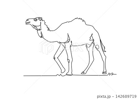 Single one line drawing tall dromedary camel walking through the desert terrain. Hump, endurance, arid livestock biology, and wildlife nature. Continuous line draw design graphic vector illustration Single one line drawing tall dromedary camel walking through the desert terrain. Hump, endurance, arid livestock biology, and wildlife nature. Continuous line draw design graphic vector illustration 142689719