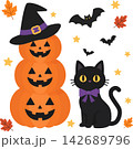 かわいい黒猫とかぼちゃ 142689796