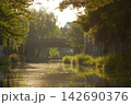 夕日に照らされる美しい水郷と古い石垣に架かる木の橋の風景 142690376