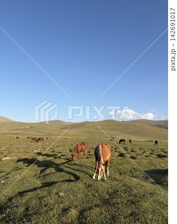 Kyrgyzstan 中央アジア 馬 草原 Kyrgyzstan 中央アジア 馬 草原 142691017