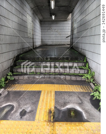 お散歩で通る歩行者用アンダーパスの道  142691449