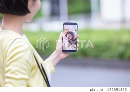 ペット 外出中にペットカメラに接続して愛犬の様子をチェックする飼い主の手元 ペット 外出中にペットカメラに接続して愛犬の様子をチェックする飼い主の手元 142691836
