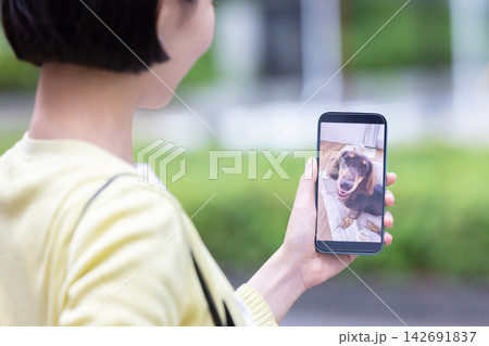 ペット 外出中にペットカメラに接続して愛犬の様子をチェックする飼い主の手元 ペット 外出中にペットカメラに接続して愛犬の様子をチェックする飼い主の手元 142691837