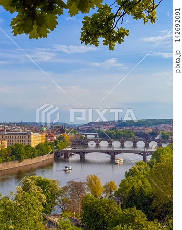 View of Prague bridges and Vltava river from a green hillside during daytime View of Prague bridges and Vltava river from a green hillside during daytime 142692091