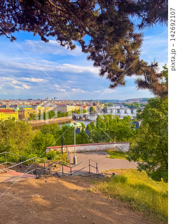 View of Prague bridges and Vltava river from a green hillside during daytime View of Prague bridges and Vltava river from a green hillside during daytime 142692107