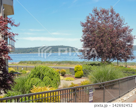 Beautiful waterfront view with a garden and a red tree overlooking Puget Sound in Ruston, WA. Beautiful waterfront view with a garden and a red tree overlooking Puget Sound in Ruston, WA. 142692452