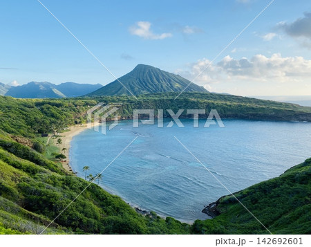 緑豊かな火山島の美しいビーチと海 緑豊かな火山島の美しいビーチと海 142692601