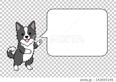 Border Collie and speech bubble illustration (announcement/notice) Border Collie and speech bubble illustration (announcement/notice) 142693149