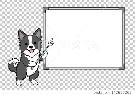 一隻邊境牧羊犬拿著指示棒指向白板(用於指導/演示)的插圖。 一隻邊境牧羊犬拿著指示棒指向白板(用於指導/演示)的插圖。 142693265