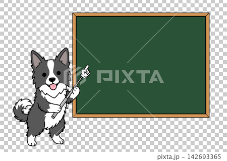 一隻邊境牧羊犬拿著指示棒指向黑板的插圖(附說明/指南)。 一隻邊境牧羊犬拿著指示棒指向黑板的插圖(附說明/指南)。 142693365