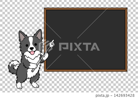 一隻邊境牧羊犬拿著指示棒,指向黑板(訊息/菜單)。 一隻邊境牧羊犬拿著指示棒,指向黑板(訊息/菜單)。 142693428
